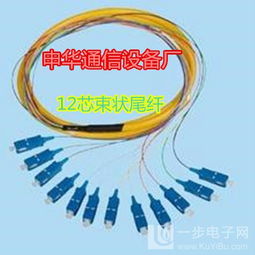 12芯束状尾纤 通信设备销售中的关键组件与高效供应